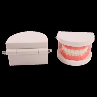 China Plastic Practical Lab Forming False Teeth Teaching Model Dental Base for sale