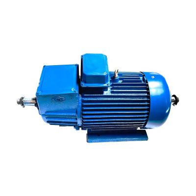 China New Arrival Hoisting Motor YZR250M1 6 37KW Totally Enclosed 3 Phase 40hp AC Induction Motor for sale