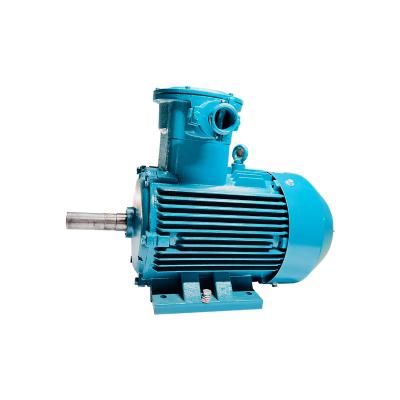 China High Efficiency And Low Noise Wholesale Price Competitive Price Custom Induction Motor for sale