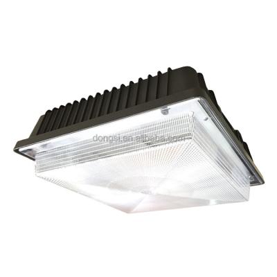 China Hot Selling Garden Warehouse 80w LED Canopy Ceiling Light for sale