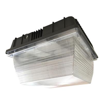 China Outdoor Warehouse LED Canopy Garage Ceiling Light for sale