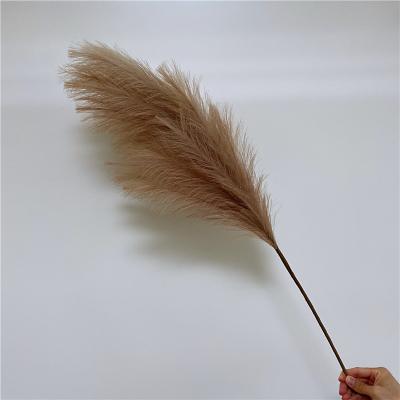 China home & party & marry the & store & Market Decoration Wholesale Price Faux Flowers Natural Dry Fluffy Artificial Dried Pampas Grass For Home Decoration for sale