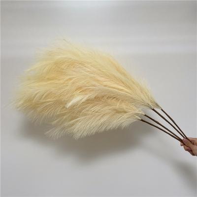 China home & party & marry the & store & Hot Selling Decorative Dried Artificial Flowers Market Natural Pampas Grass For Home Decor for sale