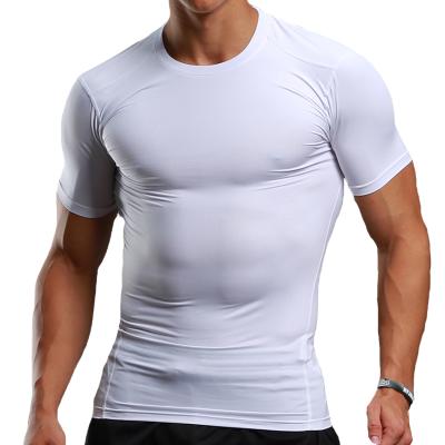 China New Fashion Anti-Wrinkle Custom Logo Sports Fitness Comfortable Breathable Sweat-absorbent Gym T-shirt for sale