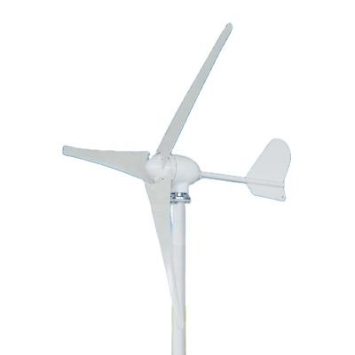 China Home High Efficiency 500w 24v Wind Turbine Generator Vertical Wind Fan For Home Use for sale