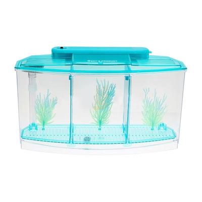 China LED Light Three Slot Betta Fish Bowl Triple Bow Isolation Acrylic Breed Fight Box For Aquarium Lxd231 for sale