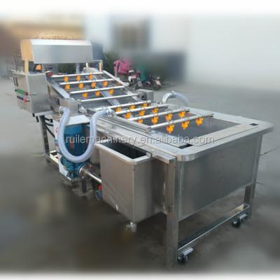 Cina High Efficiency Fruit Vegetable Processing Equipment Prickly Pear Air Bubble Washing Machine in vendita