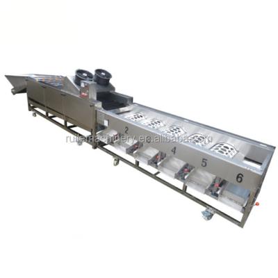 China High Efficiency 304stainless Steel Potato Weight Onion Sorter for sale