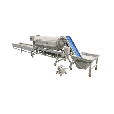 China High Efficiency Easy Operate Potato Cutting and Peeling Machine and Slicing Machine Potato French Fries Machine for sale