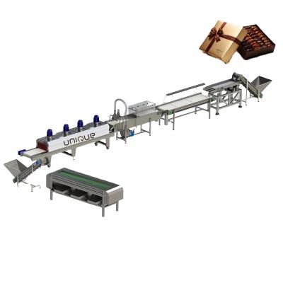 China The Palm The Date Palm Dates Processing Machine Brush Equipment Washing Processing Line for sale