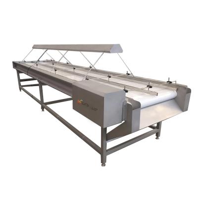 China Hot Sales Adjustable Speed ​​Vegetable And Fruit Picking Conveyor Matching Conveyor With Lamp Light à venda