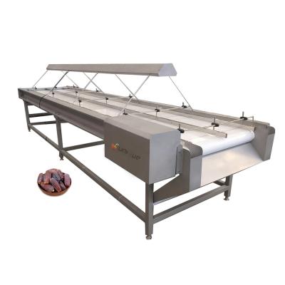 China Speed ​​Adjustable 304 Stainless Steel Nut Picking Machine Conveyor Raisin Picking Conveyor Belt en venta