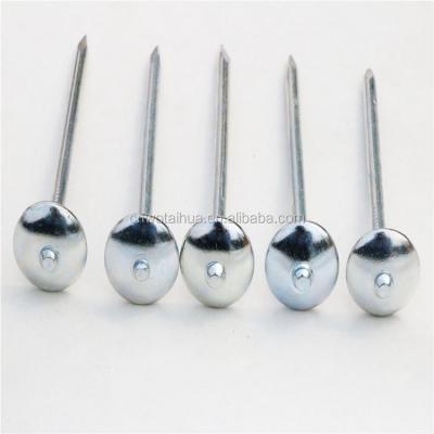 China Electro Flat Galvanized Roofing Seal Nail Umbrella Head Zinc Roofing Nail Twist Smooth Clavos Coil Roofing Nails for sale