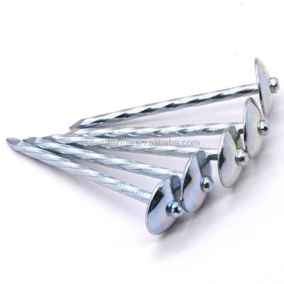 China Flat Galvanized Head Umbrella Roofing Nails Dingzhou Wotaihua Supplier for sale