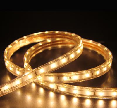 China Waterproof Rgb Led Strip Lights  120 LED / M 8W /  M High Quality For Bridge for sale