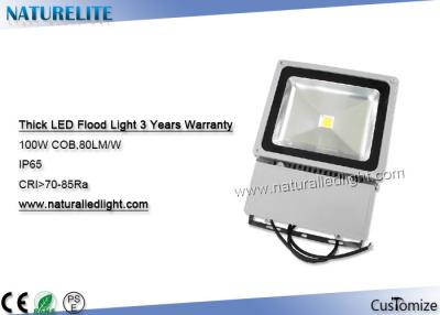 China Epistar Waterproof 100W Led Flood Light IP65 COB 85 - 265VAC For Factory Workshops for sale