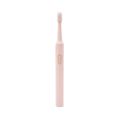 China Newest Battery Operated Personalized Electric Toothbrush For Adult for sale