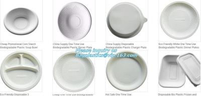 China Disposable corn starch plates, biodegradable corn starch food container, biobased food tray for sale