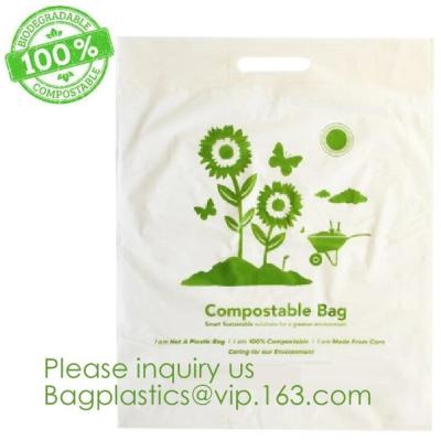 China SACOS Compostable biodegradáveis do PLA PBAT dos sacos da fécula de milho os BIO, BIO SACOS, seguram sacos acessíveis, sacos da camiseta interioa, portador da veste à venda