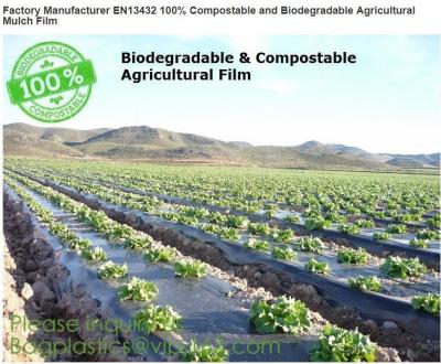 China O fabricante EN13432 filme agrícola Compostable e biodegradável de 100% da fábrica da palha de canteiro, planta do amido baseou o pa do filme do envoltório à venda