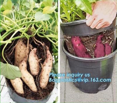 China Tomato Potato Carrot Onion Peanut Growing Pot Garden Planter Pot,PP Potato Grow Pot Planting Bag, Bagplastics, Bagease for sale