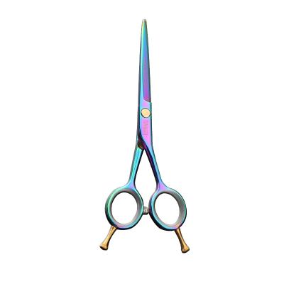 China Cutting Scissors Professional Barber Salon Tools Hairdressing Scissors Hair Scissors Hair Cutting Scissors for sale