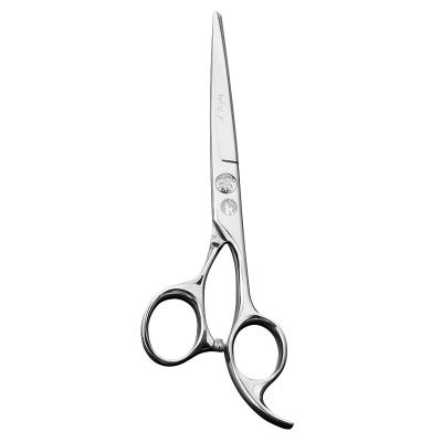 China Cutting Scissors 6 Inch Quality Professional Hair Scissors High Hair Barber Scissors Cutting Hairdressing Scissors for sale