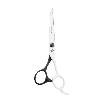 China Beauty PARCO BJY-60 9Cr Stainless Steel Easy Hair Cutting Scissors Professional Hair Scissors 6 Inch for sale