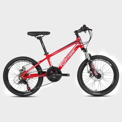 China 20 Inch Kids Carbon Fiber Bike Kids Variable Speed ​​Disc Brake Carbon Fiber Frame Bicycle For Student for sale