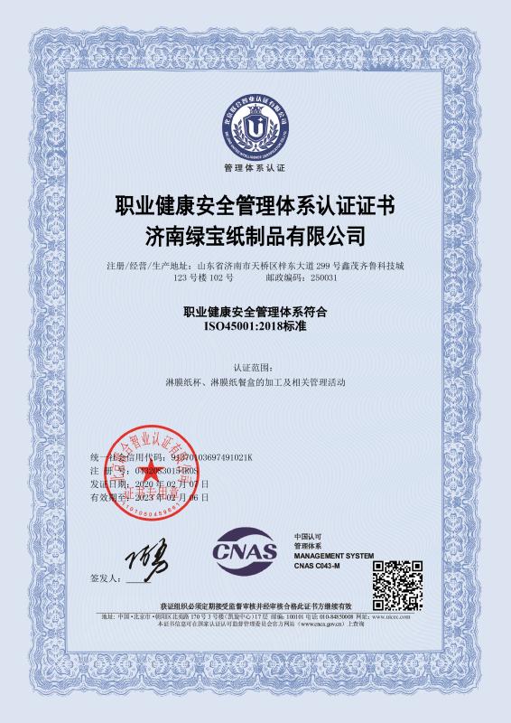 ISO 45001 - Jinan Lvbao Paper Products Co., Ltd.