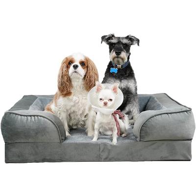 China High Quality Cooling Eggshell Cotton Filling Stylish Pet Sofa Bed Cat Dog Sofa Non Slip Bottom for sale