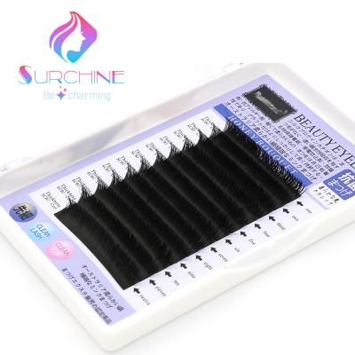 China Durable Eyelash Extension Supplies Mixed Tray Russian Volume Eyelashes Seller for sale