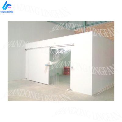 China Construction worksÂ   Cold Room Freezer Storage Room for Meat Seafood Vegetable Fruit Storage for sale