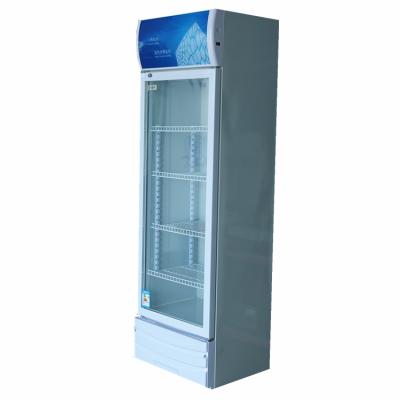 China Single-temperature Beverage Cooler Refrigerator Commercial Upright Freezer for sale