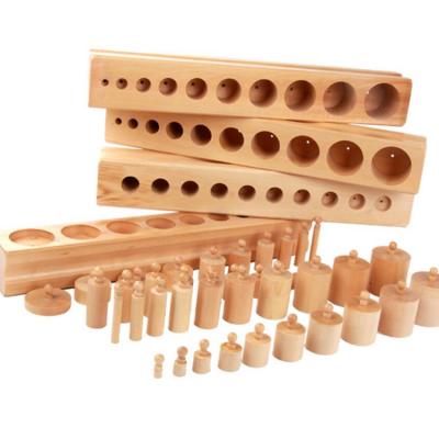 China Montessori Toys Wooden Cylinder Blocks Toy Cylinder Hold Cylinder Family Pack Education Teaching Aids for sale