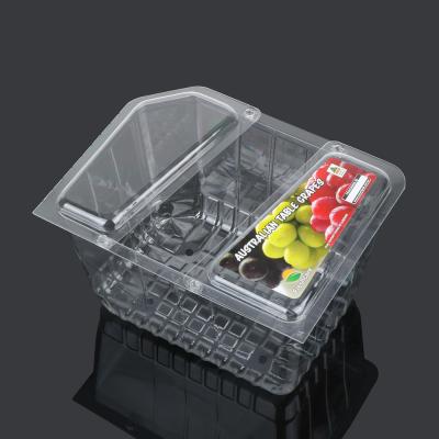 China Small 100% Recycled Recyclable Clear Plastic Blister Packing Storage Tray Box for sale