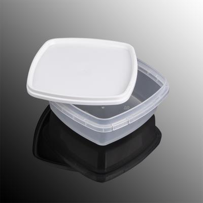 China Food PP Customized Disposable Plastic Clear Frozen Food Packaging Box With Lid for sale