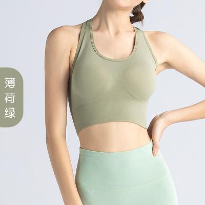 China QUICK DRY New high-support sport bra sports yoga bra sexy women sports bra for sale