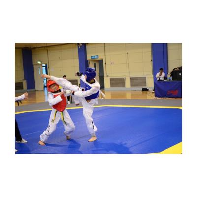 China High Quality Indoor Training Mat Taekwondo Mat Cheap Hot Sale Sports Equipment for sale