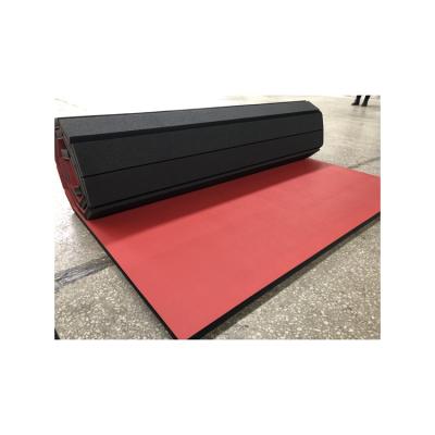 China Sports Equipment Latest Design Sports Mat Indoor Sports Karate Mat Protector Top Quality for sale