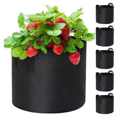 China 5 Gallon Non-Toxic 5 Pack Grow Bags Fabric Aeration Pots Container with Strap Handles for Garden and Nursery Planting for sale