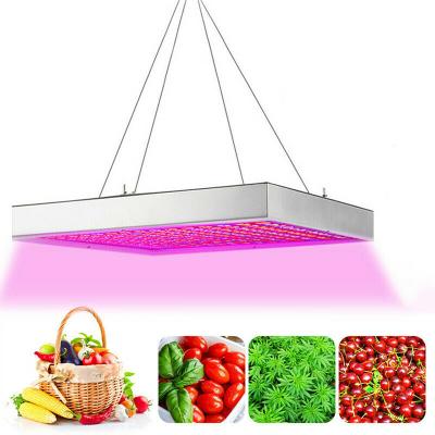 China Seed Growing Professional Commercial Indoor Plants 1200 Watt Full Spectrum Led Grow Light Plant Growing Lamp For Flower Seedling Cultivation for sale