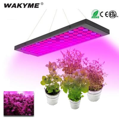 China New 40w Full Spectrum Full Spectrum IR UV Led Grow Light Hanger Home Plant Growth Lamp Set For Horticulture Indor Plants Tomatoes for sale