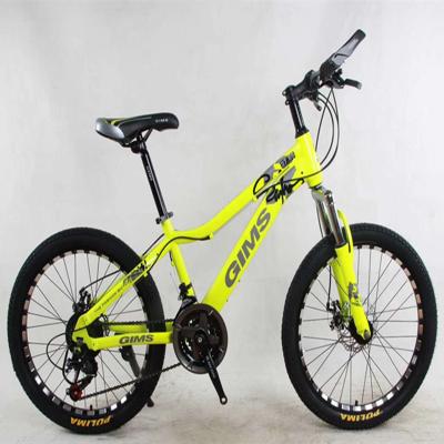 China Carbon Steel China Supplier MTB 29 Mountain Bike MTB Mountain Bike for sale