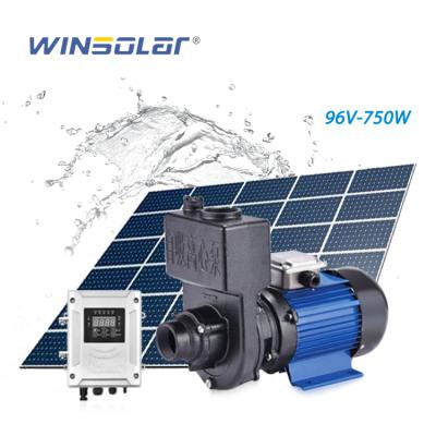 China Family Homes 96v 750w Self Priming Solar Water Pump Outdoor Solar Iron Impeller Water Pump for sale