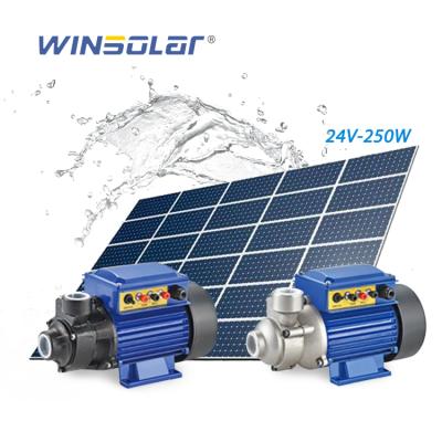 China Agriculture Irrigation 24v 250w Solar Power Pumps Solar Water Pump System Surfaces Pressure Pump for sale