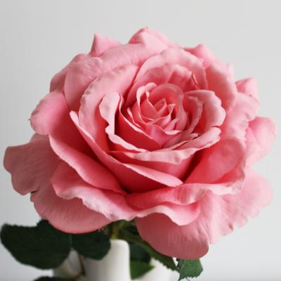 China Customized Size Artificial Flower Stems For Rose Flower OEM / ODM Accepted for sale