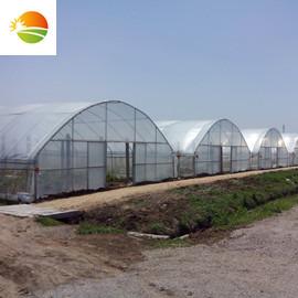 Verified China supplier - Shouguang Zehui Agricultural Science & Technology Co., Ltd.