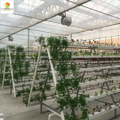 China Agricultural PC Sheet Greenhouse Multi-span Stable Structure Used Hydroponic Green House for sale