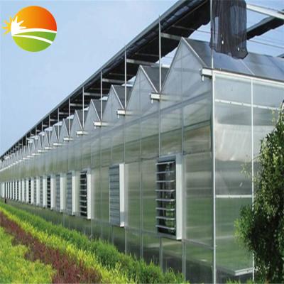 China Stable Structure PC Sheet Cover Greenhouse With Hot Galvanizing Steel for sale